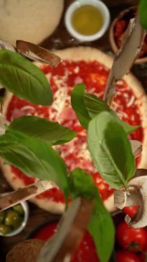 Düşen Basil 'in Süper Yavaş Hareketi Pizza Hamuru Üzerine Yapraklar. Yüksek Hız Sineması Kamerası, 1000fps, Yüksek Hız Cine Bot 'a Yerleştirilmiş. Hareketli Kamera, Takip Eden Nesneler.