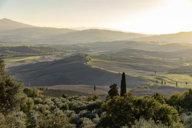 Tuscany manzaraya gündoğumu. Bölge Toskana çiftlik, hills, üzüm bağı için tipik. İtalya