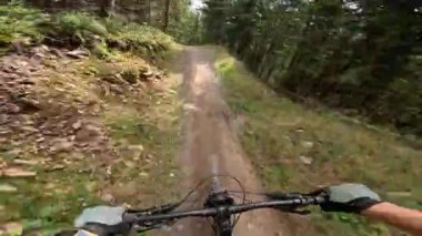 Dağ bisikletçisi bir bisiklet parkında orman yolundan iniyor. Adrenalin doğadaki açık hava maceraları