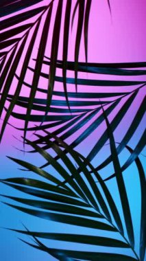 Tropikal neon arka planda palmiye yapraklarının süper yavaş çekimi. 1000 fps hızla yüksek hızlı sinematik kamera ile çekildi..