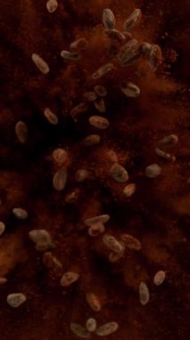 Patlayan kakao çekirdekleri. Üst Manzara. 1000 fps hızla yüksek hızlı sinematik kamera ile çekildi..