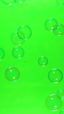 Yeşil ekran arka planında uçan sabun baloncuklarının süper yavaş çekimi, dikey yönelim, 1000 FPS