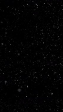 Atmosferik Parçacık Arkaplanının Süper Yavaş Çekimi 1000 fps 'te Siyah' ta izole edildi.