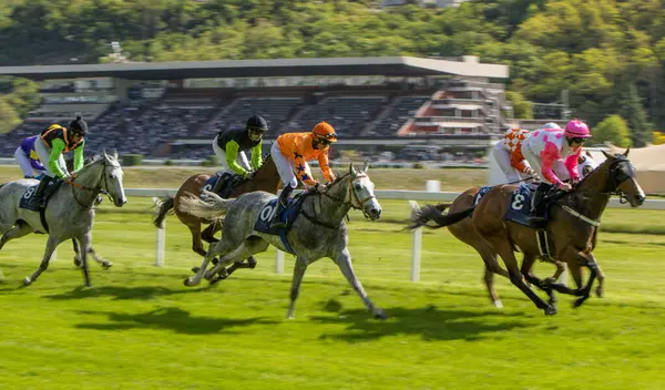 At yarışçıları jokeylerle eve geliyor. Traş efekti.