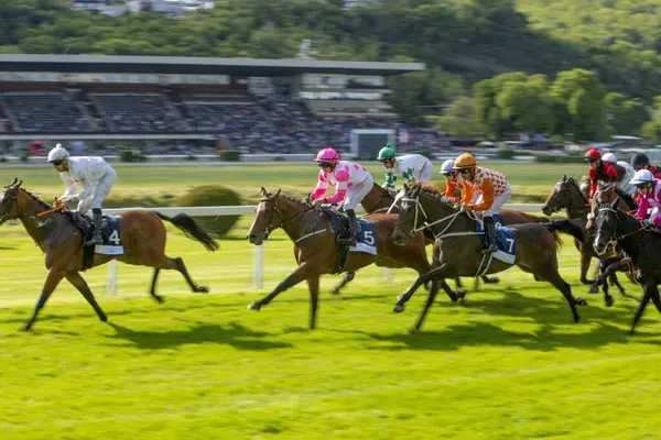 At yarışçıları jokeylerle eve geliyor. Traş efekti.