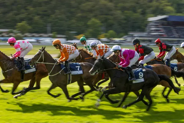 At yarışçıları jokeylerle eve geliyor. Traş efekti.