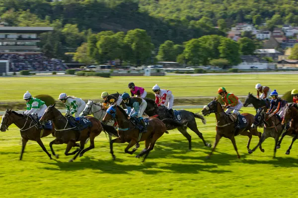 At yarışçıları jokeylerle eve geliyor. Traş efekti.