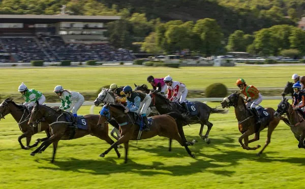 At yarışçıları jokeylerle eve geliyor. Traş efekti.