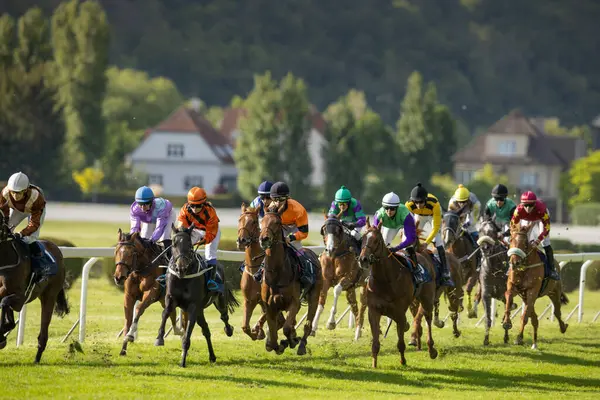 At yarışçıları jokeylerle eve geliyor. Traş efekti.