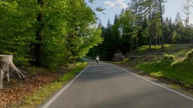 Boş asfalt yolda motosiklet süren sürücü, gün batımında bahar dağları