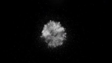 Siyah Arkaplan 'da, Küresel Şekilde Beyaz Toz Patlamasının Süper Yavaş Çekimi izole edildi. Yüksek Hız Sineması Kamerası 'nda 1.000 fps hızla çekilmiştir. .