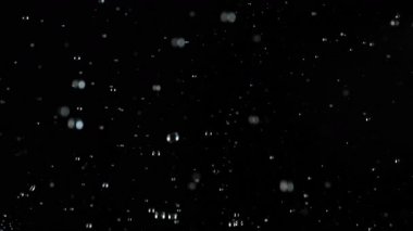 Siyah arka planda gerçekçi yağmur yağışının süper yavaş çekimi. 1.000 fps 'de yüksek hızlı sinema kamerası ile çekildi.