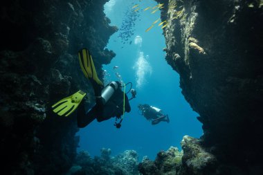 Derin Denizde Güneş Işıklarıyla Yüzen Dalgıç ve Renkli Balıklarla Güzel Mercan Resifi