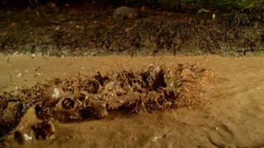 Çamur Sıçratmanın Süper Yavaş Çekimi, En İyi Çekim, Yüksek Hızlı Sinemada Çekim