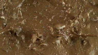 Çamur Sıçratmanın Süper Yavaş Çekimi, En İyi Çekim, Yüksek Hızlı Sinemada Çekim