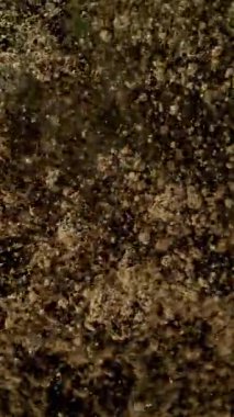 Toprak Patlamasının Süper Yavaş Çekimi, En İyi Çekim, Yüksek Hızlı Sinemada Film Çekimi