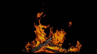 Kamp Ateşi 'nin Ayrıntılı Çekimi, Parlayan Kütükler, Kara Arkaplanda İzole Edildi