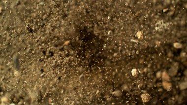 Toprak Patlamasının Dondurma Hareketi Çekimi, En İyi Çekim