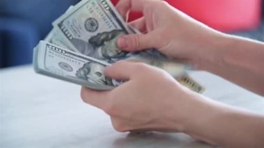 Kadın Elleri Dolar Sayıyor. İş Kârı ve Bütçe Konsepti. Yavaş Hareket Efekti.
