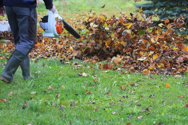 秋の公園では清掃作業員が葉を掃除する 秋の葉を掃除するために葉ブロワーを使う男 秋のシーズン 公園清掃サービス ストック画像
