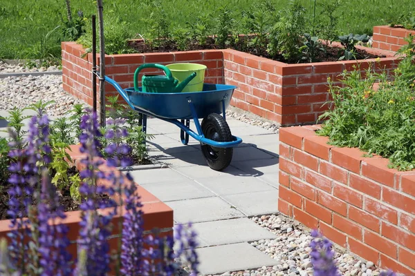 Spring Background Modern Vegetable Garden Raised Briks Beds Raised Beds Telifsiz Stok Imajlar