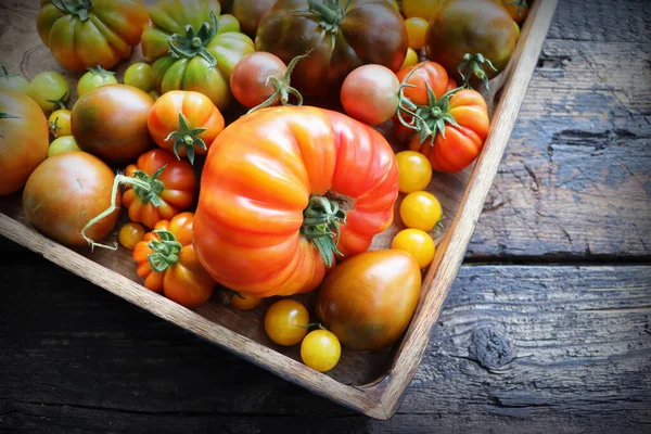 Diferentes Tipos Tomates Mesa Madeira — Fotografia de Stock