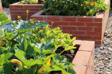 Spring background. A modern vegetable garden with raised briks beds . Raised beds gardening in an urban garden.