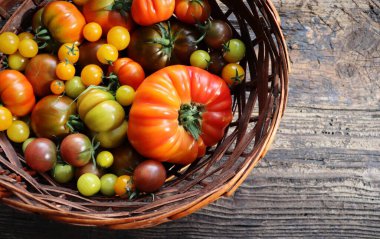 Tahta masadaki farklı domatesler. .