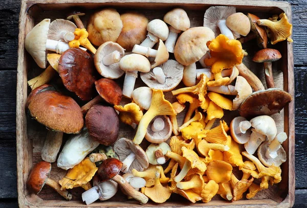 Box of fresh mixed forest mushrooms on wooden table .