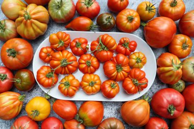 Taze rengarenk olgun sonbahar ya da yaz yadigarı domatesler masa arkasında. Domates sosu hasatı ve pişirme konsepti .