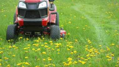 Mowing or cutting the long grass with a lawn mower . Gardening concept background . clipart