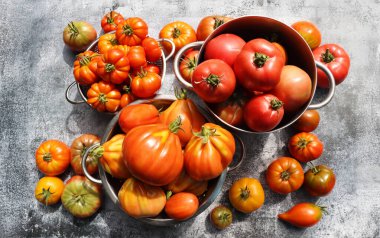 Taze rengarenk olgun sonbahar ya da yaz yadigarı domatesler masa arkasında. Domates sosu hasatı ve pişirme konsepti .