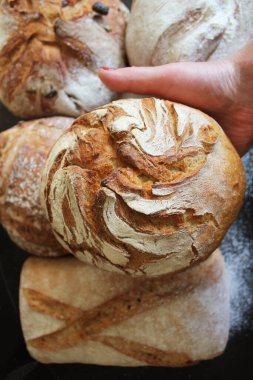 Bir fırıncı siyah bir zemin üzerine elinde taze pişmiş ekmek.
