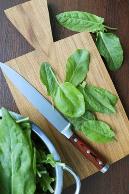 Ahşap arka planda taze kuş sürüsü. Tahtadaki sorrel yaprakları.