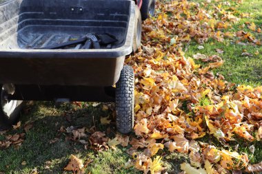 Bahçede çim biçme makinesi ve römork. .
