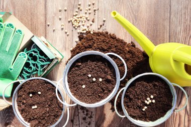  Bahçe işleri konsepti. Bahçıvan ve saksı için araç gereç