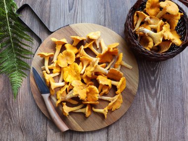 Koyu ahşap arka planda çiğ chanterelle mantarları, üst manzara. Sarı sonbahar orman mantarlı yiyecek arka planı