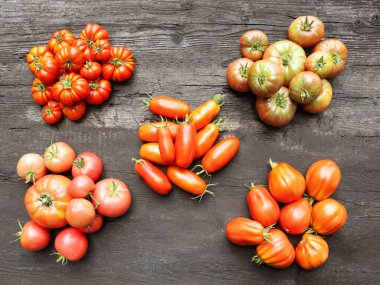 Farklı renk ve çeşitlilikte domatesler. Ahşap bir arkaplanda yerleşim. 