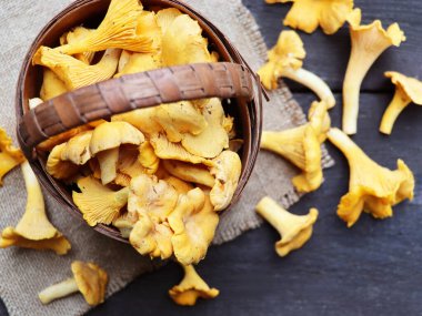 Ham vahşi chanterelles mantar sepeti eski rustik ahşap arka plan üzerinde. Ahşap bir masa üzerinde organik taze Cantharellus cibarius.