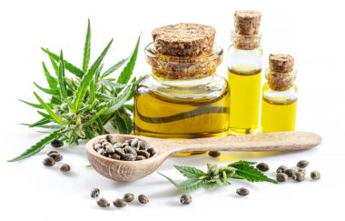 Ahşap kaşıkta esrar tohumları ve beyaz arka planda izole edilmiş kenevir yağı şişeleri. Kapat..