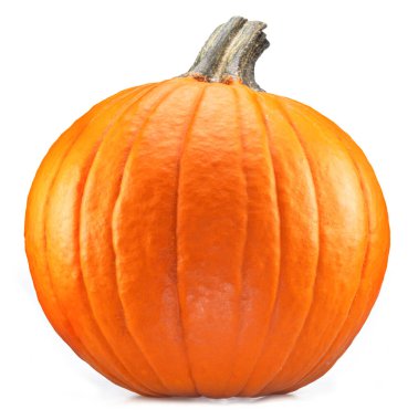 Turuncu yuvarlak balkabağı, beyaz arka planda izole edilmiş Cadılar Bayramı sembolü. 