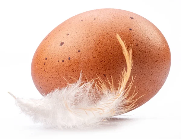 Brown chicken egg and chicken feather isolated on white background.
