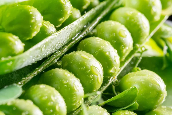 水滴で覆われたエンドウ豆のポッドの完璧な緑のエンドウ豆 マクロショット — ストック写真