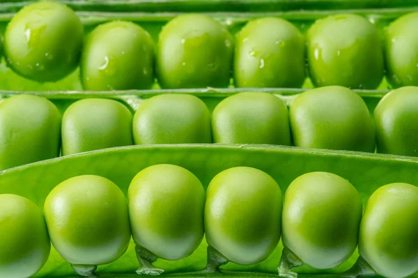 白い背景に隔離されたポッドに完璧な緑のエンドウ豆の行 — ストック写真