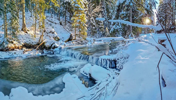 Drzewa Jodłowe Pokryte Śniegiem Strumień Lodowatą Krawędzią Piękne Zimowe Tło — Zdjęcie stockowe