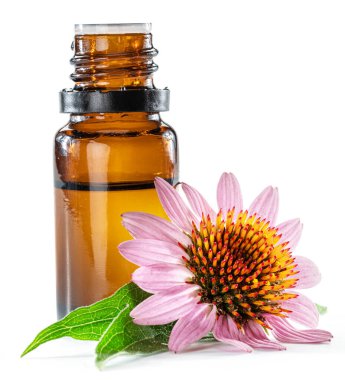 Çiçeklenen kabuksuz başlıklar ve bir şişe ekinezya mor koni yağı beyaz arka planda izole edilmiş.. 