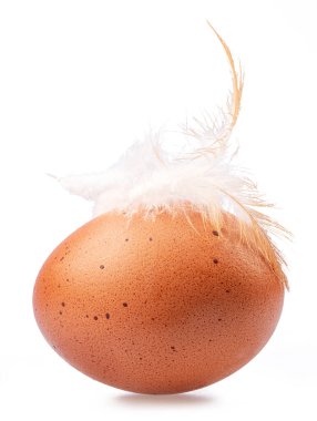 Brown chicken egg and chicken feather on its top isolated on white background.