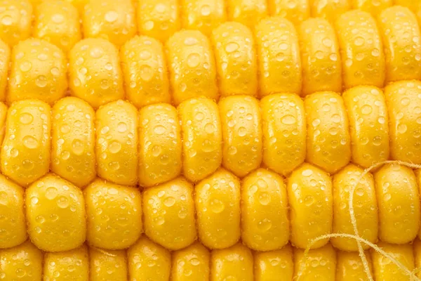 Насіння Кукурудзи Кукурудзяному Коб Вкривають Дрібними Краплями Води Макро Постріл — стокове фото