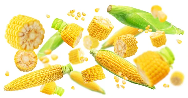 Pieces Corn Cobs Maize Cobs Flying Air Close Macro Shot — Stock Photo, Image