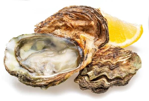 Opened Closed Raw Oysters Isolated White Background Delicacy Food — Stock Photo, Image
